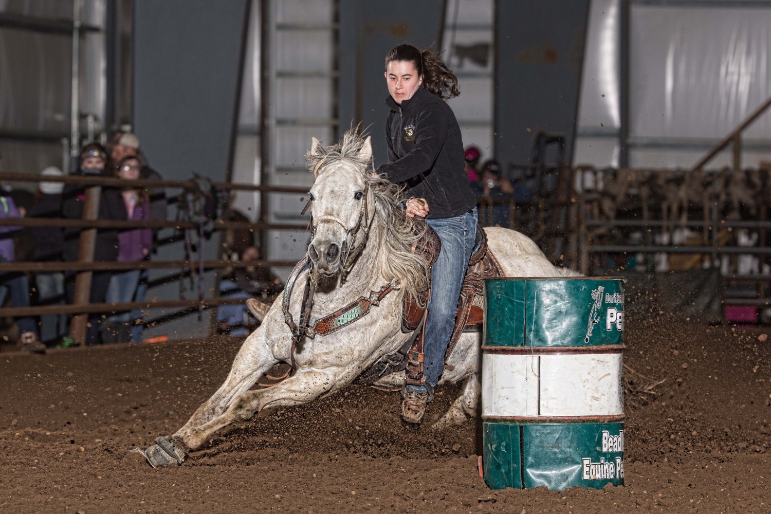 Horse rider on horse