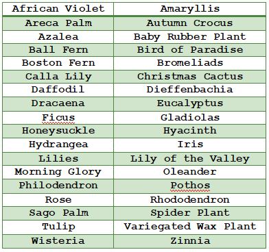 Athens Veterinary Service Inc Athens Wi Poisonous Plants