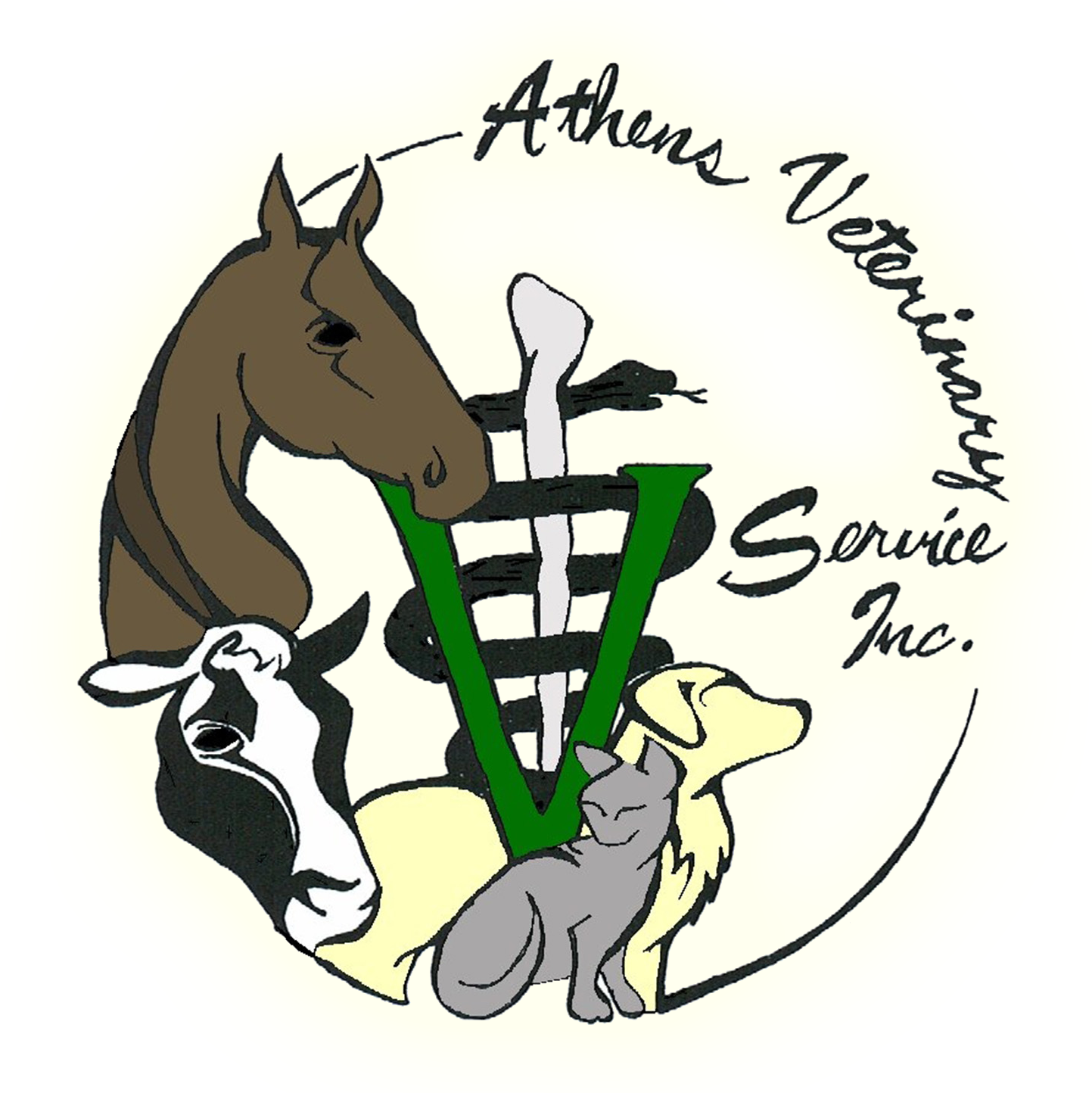 AVS Logo