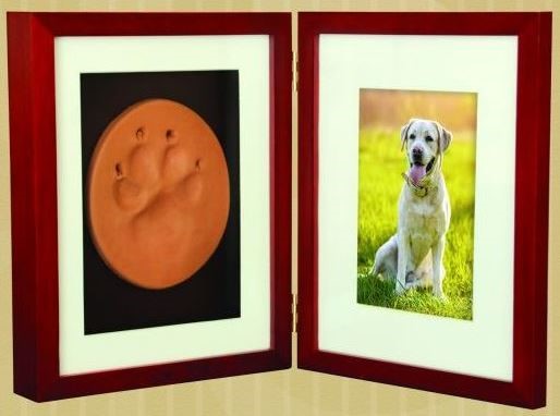 Paw Print Shadow Box