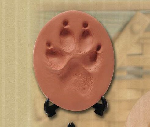 Paw Print Mold